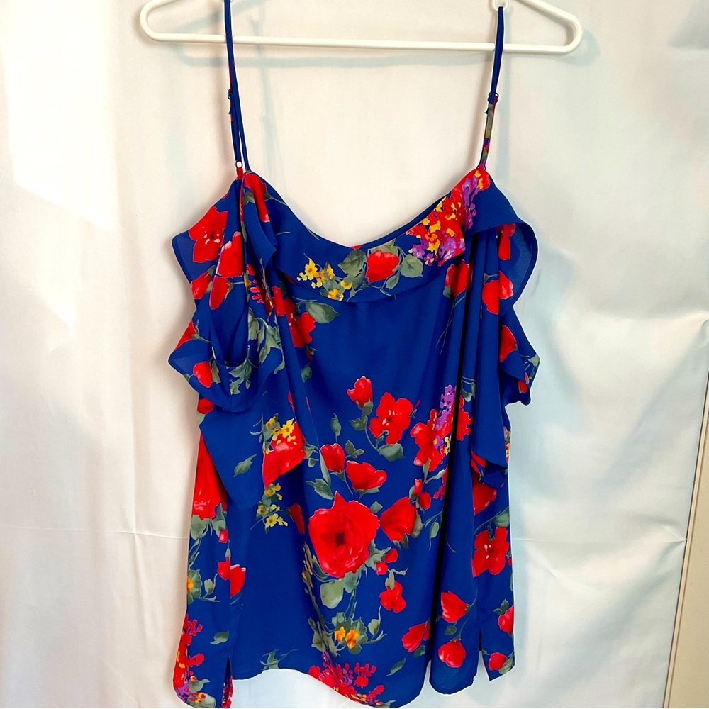 Skies are Blue top Floral size XL